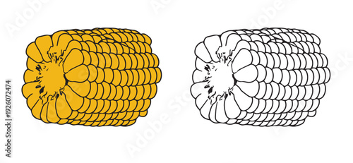 Set of color and monochrome corn, vector drawing icon.