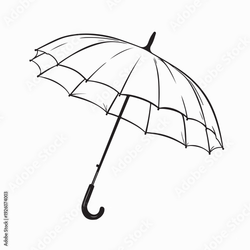 Umbrella Vector Illustration Black White Detailed Line Drawing