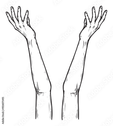 Outstretched hands and arms reaching up in a pleading or welcoming gesture, ideal for spiritual concepts, emotional expression, or human connection visuals across various media.