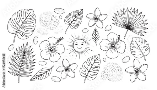 Hand drawn black and white tropical botanical elements with flowers, leaves, and a smiling sun perfect for summer vacation themed prints, invitations, and packaging