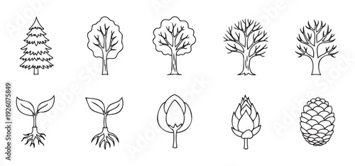 Collection of diverse nature icons depicting various tree types, plant growth stages, and natural elements, ideal for environmental education and outdoor themed applications