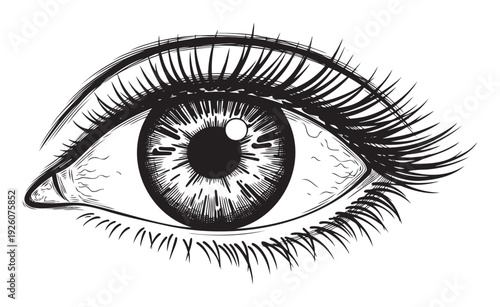 Detailed hand drawn human eye with prominent eyelashes and iris, perfect for visual projects related to beauty, vision, optical care, makeup, or emotional expression.