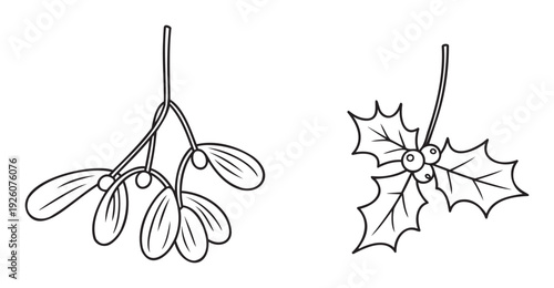 Classic mistletoe and holly plant line drawings for holiday celebrations and winter festive decorations perfect for seasonal greeting elements or printable graphic projects