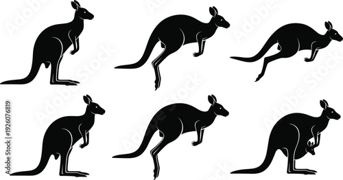 Kangaroo silhouette set jumping and standing poses Australian wildlife animal black and white vector illustration collection
