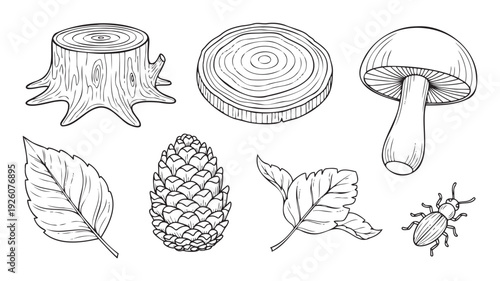 Line drawing collection of diverse nature elements including a tree stump, wood slice, mushroom, leaves, pine cone, and insect for educational resources and graphic products