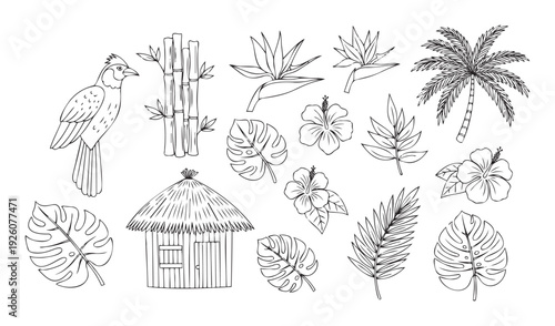 Hand drawn outline tropical elements featuring an exotic bird, bamboo, island flowers, palm tree, jungle leaves, and a beach hut, ideal for summer vacation themed graphics and decoration.