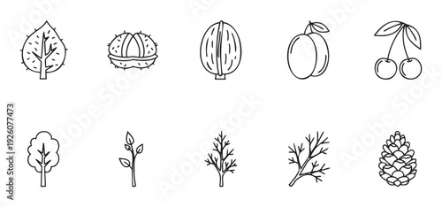 A collection of simple outline botanical graphic symbols depicting natural elements like leaves, fruits, nuts, trees, and branches, perfect for nature themed visual projects and educational