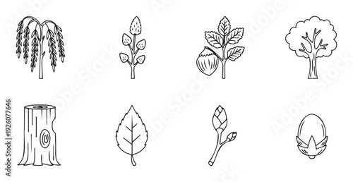 Collection of simple line drawings depicting various tree and plant parts including a weeping willow, hazelnut, tree stump, leaf, and buds, ideal for educational materials or naturethemed