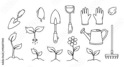 Essential gardening tools and diverse plant growth stages from seed to flower, perfect for educational content, horticultural guides, and spring planting advertisements