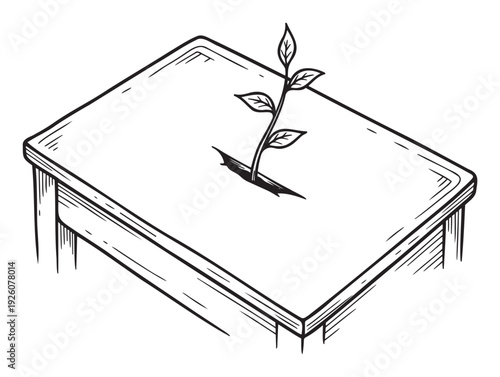 A resilient young plant sprout with several leaves pushes through a small crack in a sturdy wooden table, symbolizing growth and perseverance for inspiring projects.