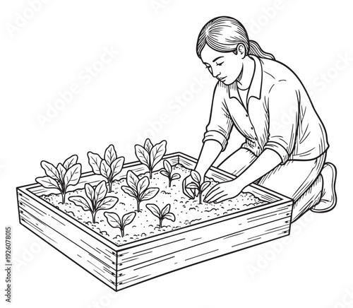 Asian woman gardening in a raised garden bed planting young seedlings, perfect for educational materials or lifestyle blogs about sustainable living and home agriculture.