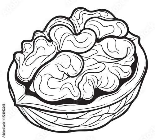Detailed black outline drawing of a healthy organic walnut kernel nestled within its cracked shell, perfect for food packaging, nutritional guides, or culinary ingredient showcases.