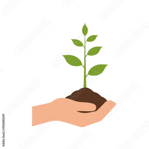 Hand Holding Young Plant Sprout Growing From Soil, Growth Concept