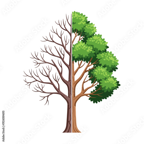 Half Dead Tree, Half Alive Tree with Green Leaves and Bare Branches