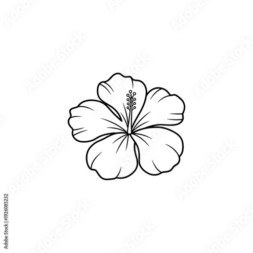 Simple Line Drawing of a Tropical Hibiscus Flower Head