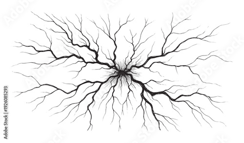 Dynamic abstract branching black lines radiating from a central point, creating a powerful crack or lightning effect, perfect for modern graphic design applications or scientific