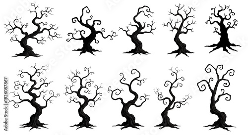Twisted Branches, Silent Whispers