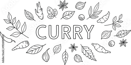 Illustration of curry ingredients surrounded by various spices and leaves in a circular arrangement