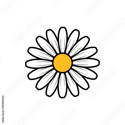 Symmetrical Bold Daisy Flower Head Vector Graphic