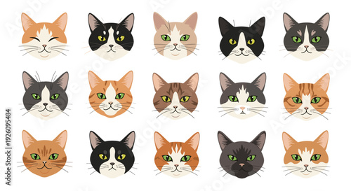 Large collection of fifteen different cat breed faces with various colors patterns and expressions illustrated in a simple flat style.