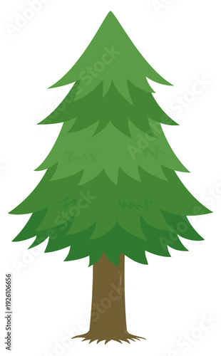 1本のスギの木のイラスト