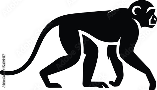 Stylized black silhouette illustration of monkey walking on all fours with long curved tail and distinct facial outline, ideal for wildlife, nature, logo, and educational design  black silhouette