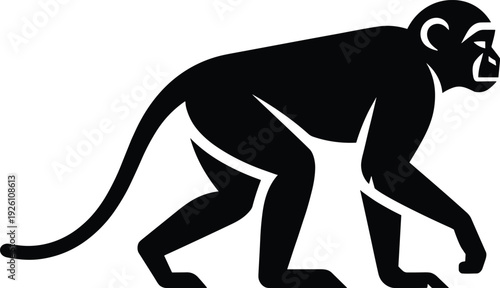 Stylized black silhouette illustration of monkey in walking posture with long curved tail and simplified facial outline, ideal for wildlife, nature, logo, and educational design projects