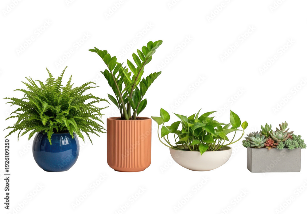 Fototapeta premium Assorted potted plants in different containers isolated on transparent background