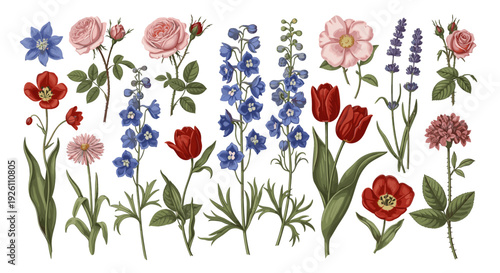 Collection of colorful wildflowers including poppies and lavender