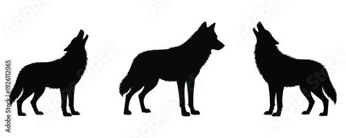 Three wolf silhouettes howling and standing on white background