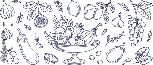 Vintage hand drawn fruit and vegetable illustration collection, detailed botanical line art with grapes, figs, eggplant and decorative bowl composition