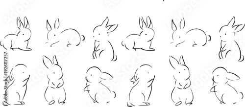 black and white animals