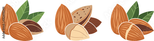 Almonds Illustration Set with Whole, Cracked, and Shelled Nuts with Leaves for Healthy Snacks and Nutty Food Graphics