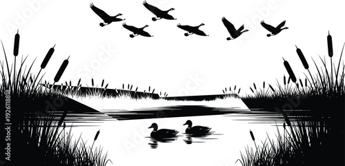 Black and white nature silhouette of ducks swimming on a lake with flying birds and marsh reeds isolated on a white background