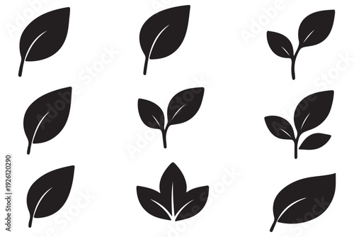 Green leaf icons set. Leaves icon on transparent background. Collection green leaf. Elements design for natural, eco, vegan, bio labels.