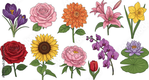 Colorful Garden Flower Collection Featuring Rose, Sunflower, Lily, Orchid, Tulip and Water Lily Detailed Vector Illustration Set