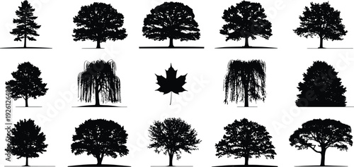 Black Silhouette Collection of Various Deciduous and Evergreen Trees and Maple Leaf for Forest Landscape Design Nature Environment and Outdoors