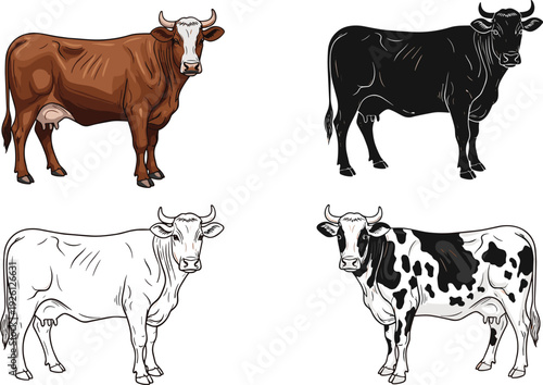 Cow breed set with realistic, outline, and silhouette styles vector illustration collection for farm livestock, dairy production, and agriculture design