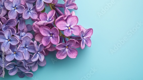 Wallpaper Mural Flowers in shades of purple are arranged on a light blue background showcasing their natural shape and details Torontodigital.ca