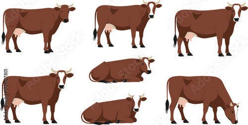 Brown dairy cow set in various poses vector illustration collection isolated on white background for farm livestock and agriculture design