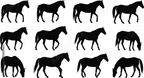 Horse Silhouette Vector Set with Running Walking and Grazing Equine Poses Isolated Collection
