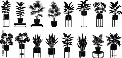 Indoor Potted Plant Silhouette Vector Set with Houseplants in Modern Stands Isolated Collection