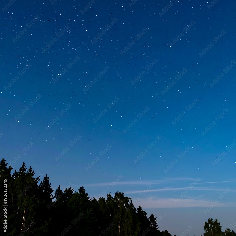 Naklejka premium A dark blue night sky with stars and trees in the foreground