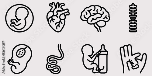 Medical Icons: Fetus Heart Brain Spine Baby Digestive System HandsStock Vector