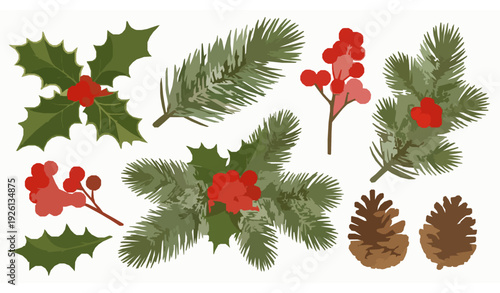 Hand drawn winter botanical vector set with holly pine branches berries and pinecones for Christmas decoration isolated on white