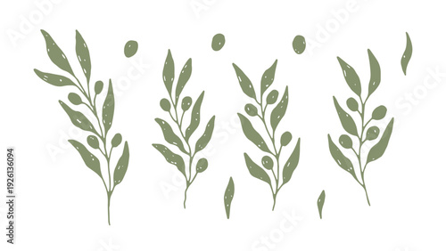 Olive Branches Hand Drawn Set. Mediterranean Botanical Collection with wavy leaves in muted green tones. Minimal rustic set with natural texture and modern aesthetic vector illustrations.
