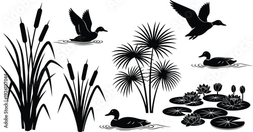 Wetland pond silhouette vector illustration with ducks, cattails, water lilies, and flying birds for nature, ecology, and decorative design use