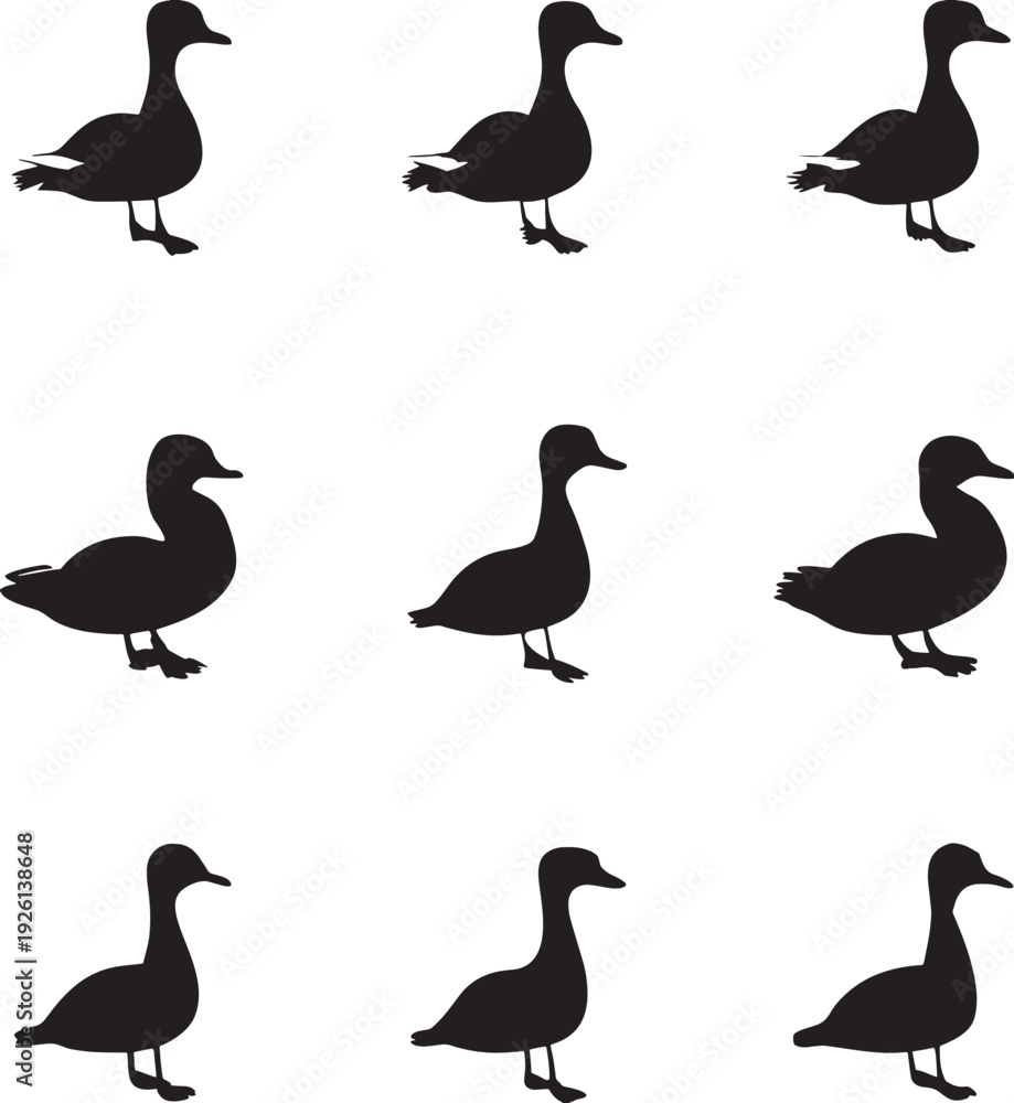 Fototapeta premium set of ducks