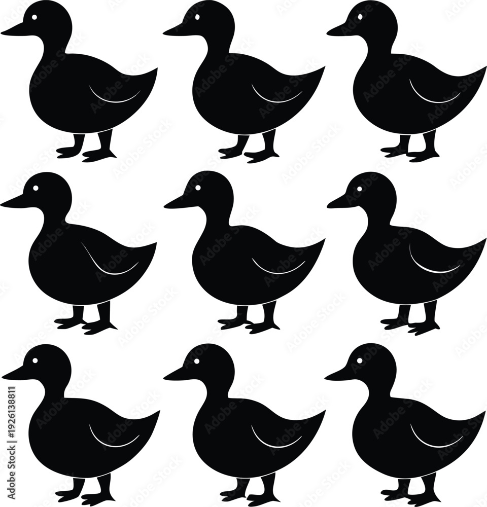 Fototapeta premium set of ducks
