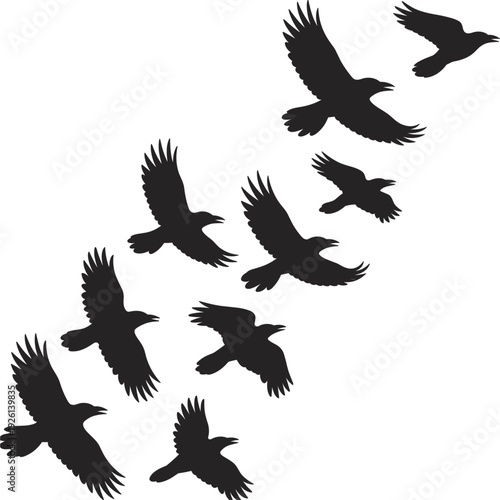 Flock Of Crows Silhouettes Flying In Diagonal Formation On White Background bird